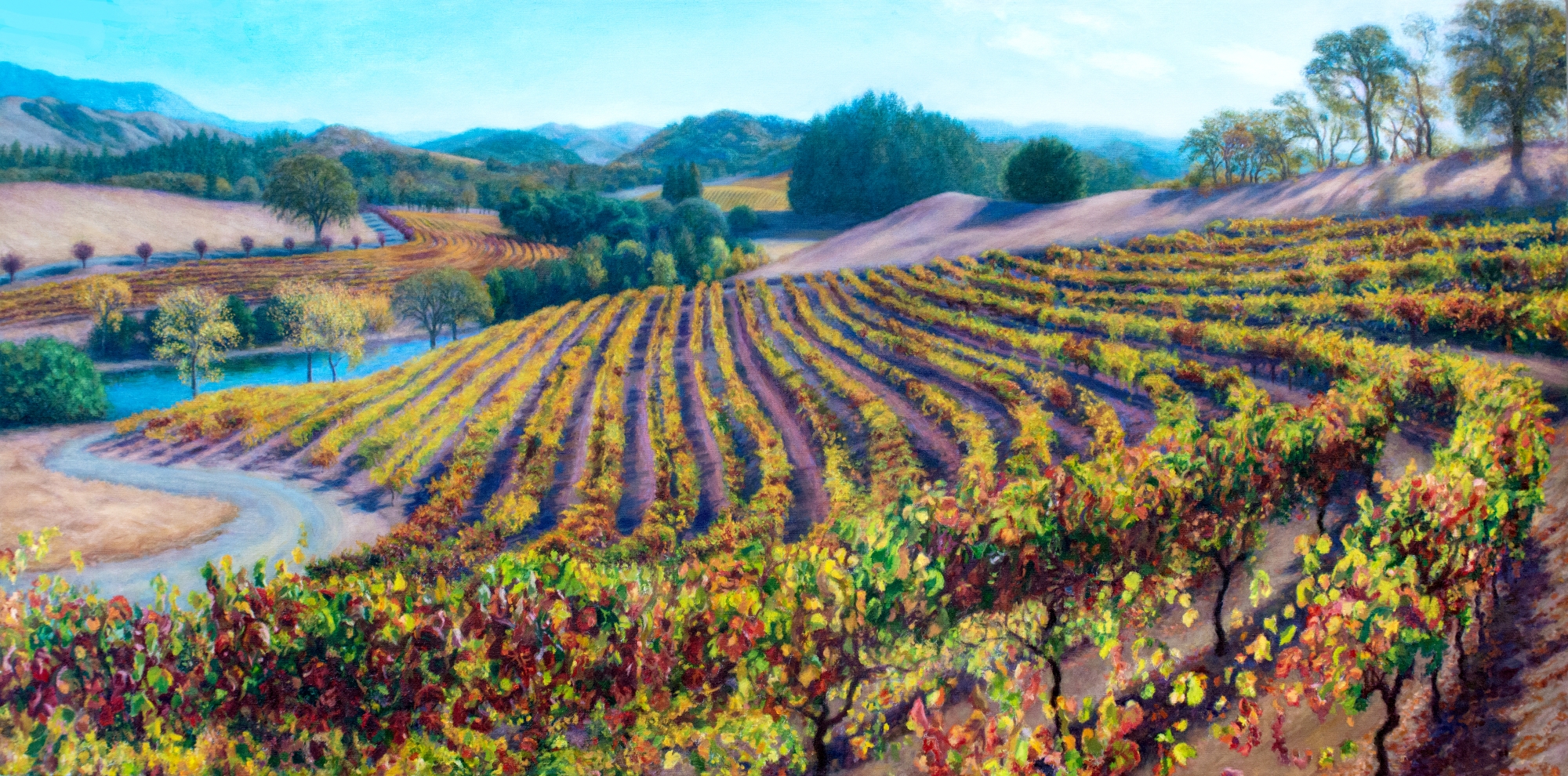 Chalk Hill Vineyard II, Oil, 26" x 48", Sold