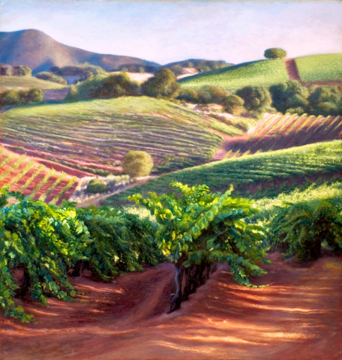 Early Morning in the Vineyard, Oil, 44" x 42", Sold