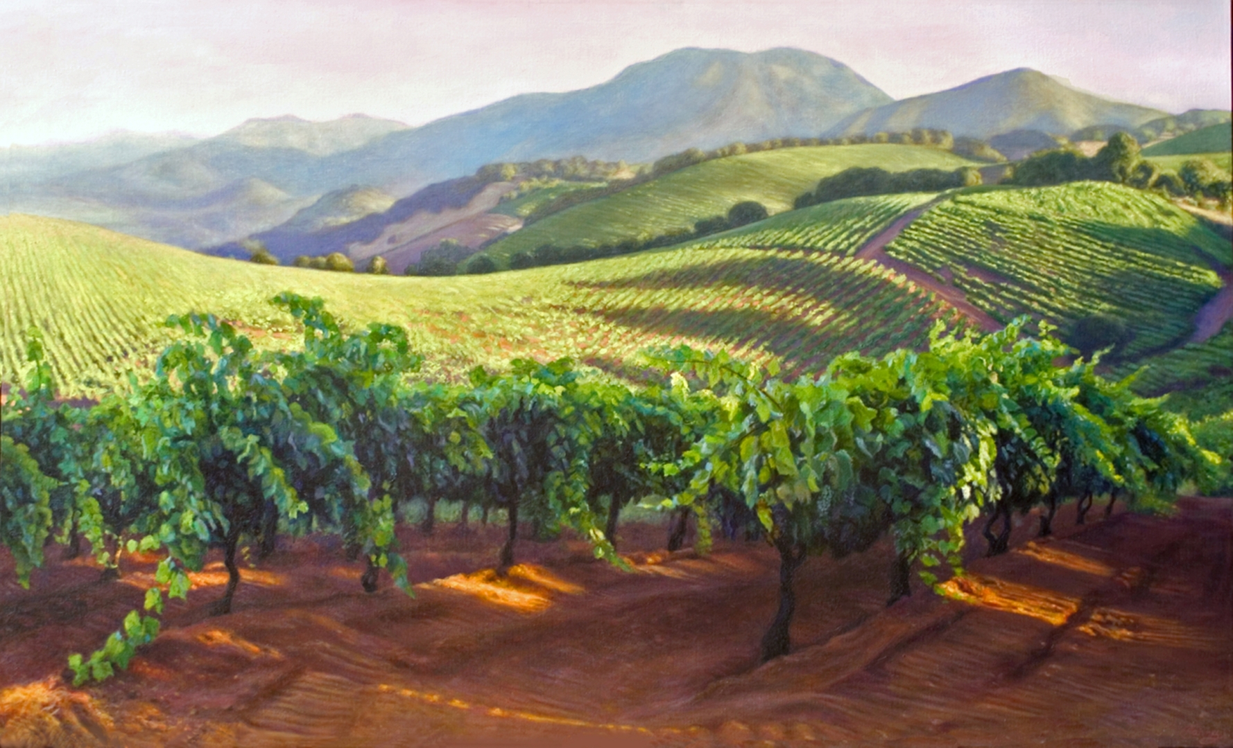 Nuns Canyon Vineyard, Oil, 48" x 68", Sold