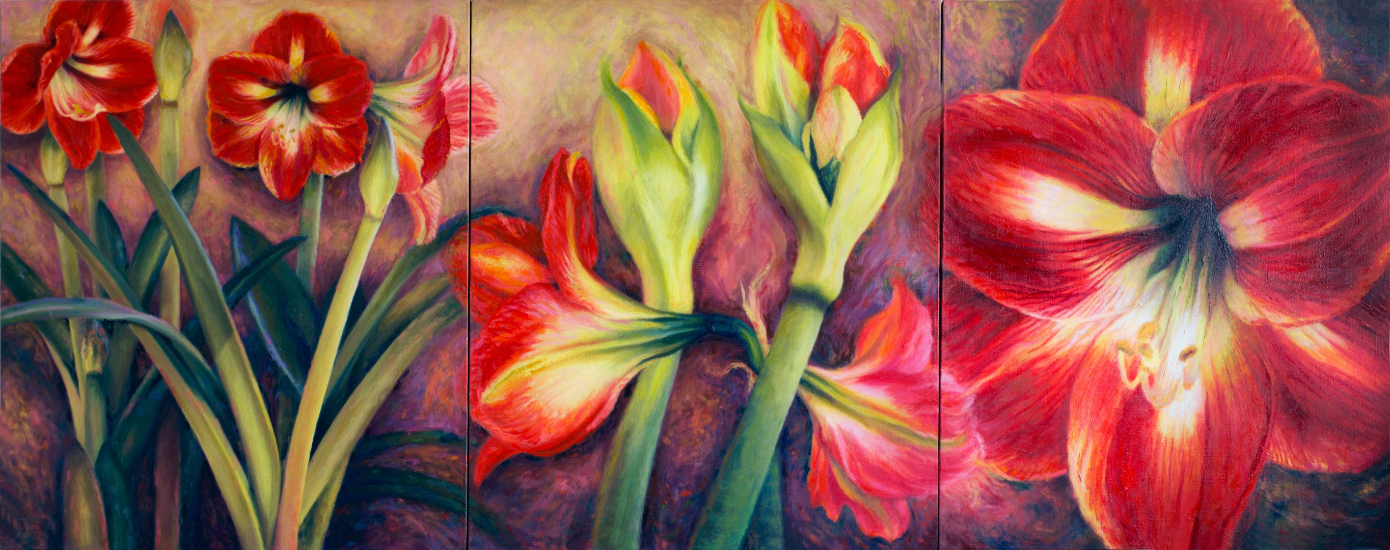 Red Amaryllis Triptych, Oil, 28" x 72", Sold