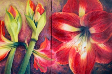 <h5>Red Amaryllis Triptych</h5>