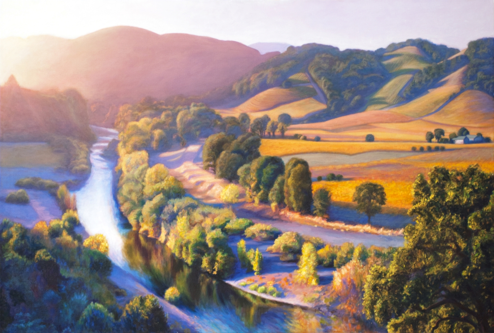 Russian River Vineyards, Oil, 42" x 64", Sold