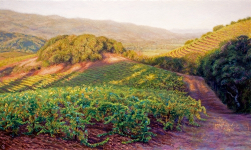 <h5>The Sonoma Valley</h5>